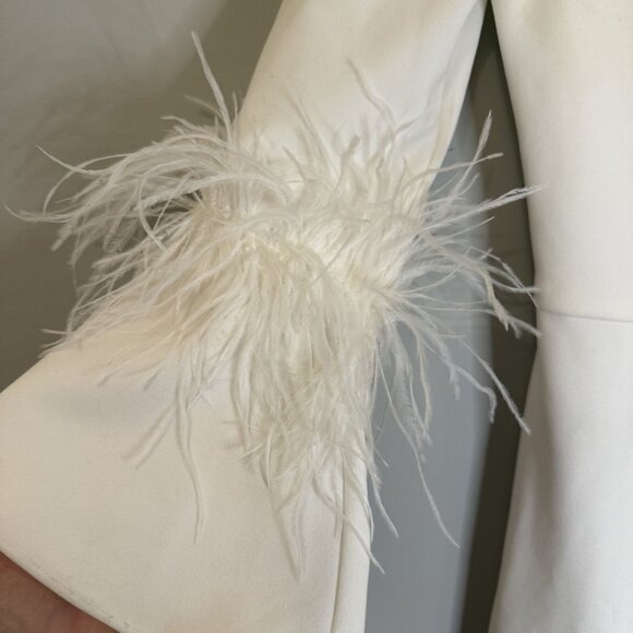 NEW Adrianna Papell Feather Cuff Bell Sleeve Dress Ivory Size US 2 [jb] - Picture 7 of 12